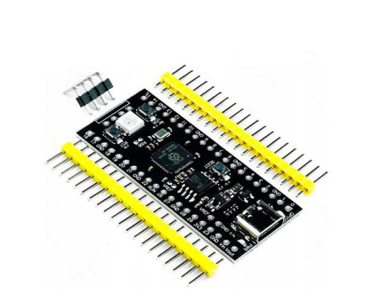 Raspberry Pi Pico RP2040 V1.3 Type-C 16Мб, Мікроконтролер